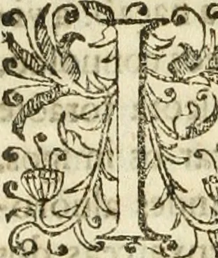 An illustration from Decada quarta da Asia : dos feitos que os portugueses fizeram na conquista e descobrimento das terras, & mares do Oriente : em quanto gouernaraõ a India Lopo Vaz de Saõ Payo, & parte de Nuno da Cunha, 1602, leaf 347