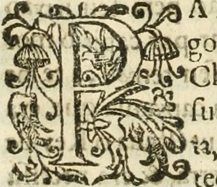An illustration from Decada quarta da Asia : dos feitos que os portugueses fizeram na conquista e descobrimento das terras, & mares do Oriente : em quanto gouernaraõ a India Lopo Vaz de Saõ Payo, & parte de Nuno da Cunha, 1602, leaf 349
