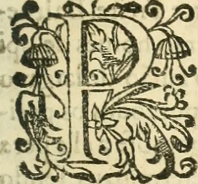 An illustration from Decada quarta da Asia : dos feitos que os portugueses fizeram na conquista e descobrimento das terras, & mares do Oriente : em quanto gouernaraõ a India Lopo Vaz de Saõ Payo, & parte de Nuno da Cunha, 1602, leaf 352