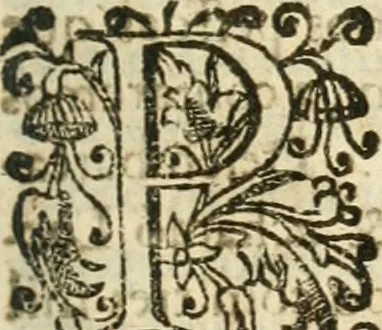 An illustration from Decada quarta da Asia : dos feitos que os portugueses fizeram na conquista e descobrimento das terras, & mares do Oriente : em quanto gouernaraõ a India Lopo Vaz de Saõ Payo, & parte de Nuno da Cunha, 1602, leaf 356