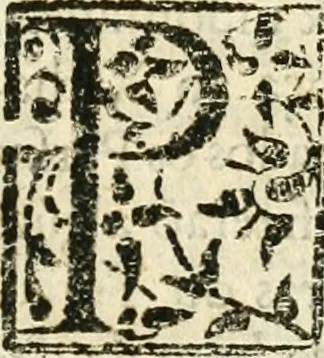 An illustration from Decada quarta da Asia : dos feitos que os portugueses fizeram na conquista e descobrimento das terras, & mares do Oriente : em quanto gouernaraõ a India Lopo Vaz de Saõ Payo, & parte de Nuno da Cunha, 1602, leaf 364
