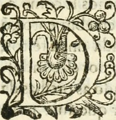 An illustration from Decada quarta da Asia : dos feitos que os portugueses fizeram na conquista e descobrimento das terras, & mares do Oriente : em quanto gouernaraõ a India Lopo Vaz de Saõ Payo, & parte de Nuno da Cunha, 1602, leaf 368