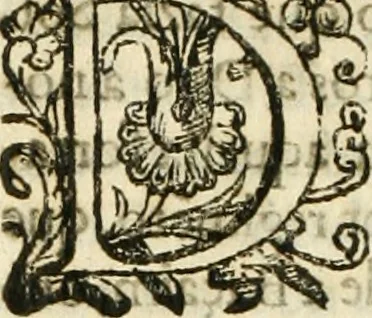 An illustration from Decada quarta da Asia : dos feitos que os portugueses fizeram na conquista e descobrimento das terras, & mares do Oriente : em quanto gouernaraõ a India Lopo Vaz de Saõ Payo, & parte de Nuno da Cunha, 1602, leaf 371