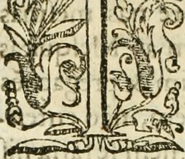 An illustration from Decada quarta da Asia : dos feitos que os portugueses fizeram na conquista e descobrimento das terras, & mares do Oriente : em quanto gouernaraõ a India Lopo Vaz de Saõ Payo, & parte de Nuno da Cunha, 1602, leaf 375