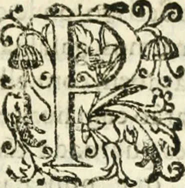 An illustration from Decada quarta da Asia : dos feitos que os portugueses fizeram na conquista e descobrimento das terras, & mares do Oriente : em quanto gouernaraõ a India Lopo Vaz de Saõ Payo, & parte de Nuno da Cunha, 1602, leaf 378