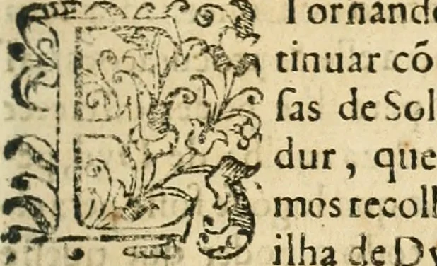 An illustration from Decada quarta da Asia : dos feitos que os portugueses fizeram na conquista e descobrimento das terras, & mares do Oriente : em quanto gouernaraõ a India Lopo Vaz de Saõ Payo, & parte de Nuno da Cunha, 1602, leaf 390
