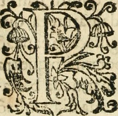 An illustration from Decada quarta da Asia : dos feitos que os portugueses fizeram na conquista e descobrimento das terras, & mares do Oriente : em quanto gouernaraõ a India Lopo Vaz de Saõ Payo, & parte de Nuno da Cunha, 1602, leaf 393