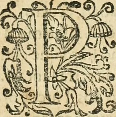 An illustration from Decada quarta da Asia : dos feitos que os portugueses fizeram na conquista e descobrimento das terras, & mares do Oriente : em quanto gouernaraõ a India Lopo Vaz de Saõ Payo, & parte de Nuno da Cunha, 1602, leaf 410