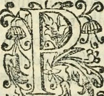 An illustration from Decada quarta da Asia : dos feitos que os portugueses fizeram na conquista e descobrimento das terras, & mares do Oriente : em quanto gouernaraõ a India Lopo Vaz de Saõ Payo, & parte de Nuno da Cunha, 1602, leaf 421