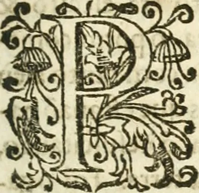 An illustration from Decada quarta da Asia : dos feitos que os portugueses fizeram na conquista e descobrimento das terras, & mares do Oriente : em quanto gouernaraõ a India Lopo Vaz de Saõ Payo, & parte de Nuno da Cunha, 1602, leaf 44