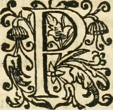 An illustration from Decada quarta da Asia : dos feitos que os portugueses fizeram na conquista e descobrimento das terras, & mares do Oriente : em quanto gouernaraõ a India Lopo Vaz de Saõ Payo, & parte de Nuno da Cunha, 1602, leaf 58
