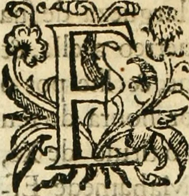 An illustration from Decada quarta da Asia : dos feitos que os portugueses fizeram na conquista e descobrimento das terras, & mares do Oriente : em quanto gouernaraõ a India Lopo Vaz de Saõ Payo, & parte de Nuno da Cunha, 1602, leaf 71