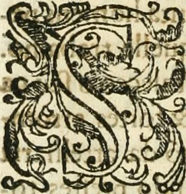 An illustration from Decada quarta da Asia : dos feitos que os portugueses fizeram na conquista e descobrimento das terras, & mares do Oriente : em quanto gouernaraõ a India Lopo Vaz de Saõ Payo, & parte de Nuno da Cunha, 1602, leaf 73