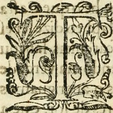 An illustration from Decada quarta da Asia : dos feitos que os portugueses fizeram na conquista e descobrimento das terras, & mares do Oriente : em quanto gouernaraõ a India Lopo Vaz de Saõ Payo, & parte de Nuno da Cunha, 1602, leaf 79