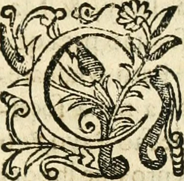An illustration from Decada quarta da Asia : dos feitos que os portugueses fizeram na conquista e descobrimento das terras, & mares do Oriente : em quanto gouernaraõ a India Lopo Vaz de Saõ Payo, & parte de Nuno da Cunha, 1602, leaf 82