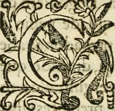 An illustration from Decada quarta da Asia : dos feitos que os portugueses fizeram na conquista e descobrimento das terras, & mares do Oriente : em quanto gouernaraõ a India Lopo Vaz de Saõ Payo, & parte de Nuno da Cunha, 1602, leaf 89