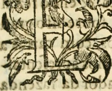 An illustration from Decada quarta da Asia : dos feitos que os portugueses fizeram na conquista e descobrimento das terras, & mares do Oriente : em quanto gouernaraõ a India Lopo Vaz de Saõ Payo, & parte de Nuno da Cunha, 1602, leaf 94