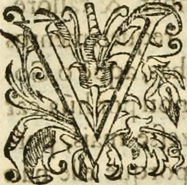 An illustration from Decada quarta da Asia : dos feitos que os portugueses fizeram na conquista e descobrimento das terras, & mares do Oriente : em quanto gouernaraõ a India Lopo Vaz de Saõ Payo, & parte de Nuno da Cunha, 1602, leaf 97