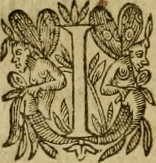 An illustration from De canonicis, et dignitatibus, aliisque inferioribus beneficiariis cathedralium & collegiatarum ecclesiarum, eorúmque officio tam in choro, quàm in capitulo : elegans et perutilis tractatus, 1634, leaf 101