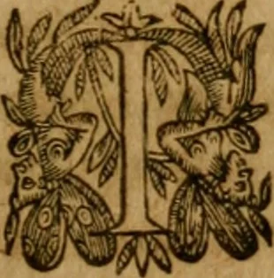 An illustration from De canonicis, et dignitatibus, aliisque inferioribus beneficiariis cathedralium & collegiatarum ecclesiarum, eorúmque officio tam in choro, quàm in capitulo : elegans et perutilis tractatus, 1634, leaf 158