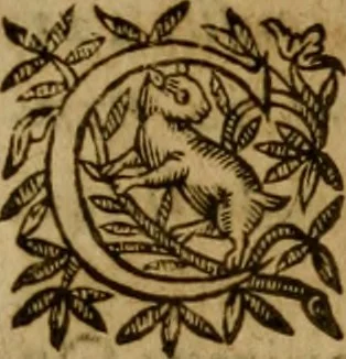 An illustration from De canonicis, et dignitatibus, aliisque inferioribus beneficiariis cathedralium & collegiatarum ecclesiarum, eorúmque officio tam in choro, quàm in capitulo : elegans et perutilis tractatus, 1634, leaf 178