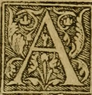 An illustration from De canonicis, et dignitatibus, aliisque inferioribus beneficiariis cathedralium & collegiatarum ecclesiarum, eorúmque officio tam in choro, quàm in capitulo : elegans et perutilis tractatus, 1634, leaf 243