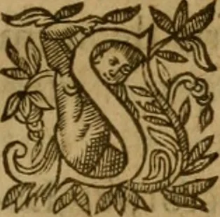 An illustration from De canonicis, et dignitatibus, aliisque inferioribus beneficiariis cathedralium & collegiatarum ecclesiarum, eorúmque officio tam in choro, quàm in capitulo : elegans et perutilis tractatus, 1634, leaf 248