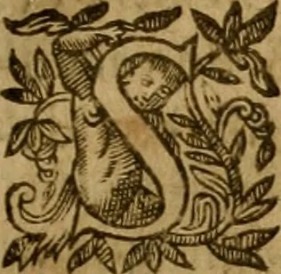 An illustration from De canonicis, et dignitatibus, aliisque inferioribus beneficiariis cathedralium & collegiatarum ecclesiarum, eorúmque officio tam in choro, quàm in capitulo : elegans et perutilis tractatus, 1634, leaf 272