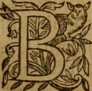 An illustration from De canonicis, et dignitatibus, aliisque inferioribus beneficiariis cathedralium & collegiatarum ecclesiarum, eorúmque officio tam in choro, quàm in capitulo : elegans et perutilis tractatus, 1634, leaf 292