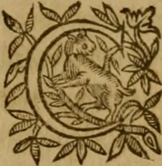 An illustration from De canonicis, et dignitatibus, aliisque inferioribus beneficiariis cathedralium & collegiatarum ecclesiarum, eorúmque officio tam in choro, quàm in capitulo : elegans et perutilis tractatus, 1634, leaf 30