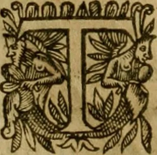 An illustration from De canonicis, et dignitatibus, aliisque inferioribus beneficiariis cathedralium & collegiatarum ecclesiarum, eorúmque officio tam in choro, quàm in capitulo : elegans et perutilis tractatus, 1634, leaf 305