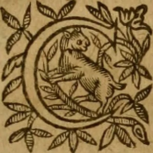 An illustration from De canonicis, et dignitatibus, aliisque inferioribus beneficiariis cathedralium & collegiatarum ecclesiarum, eorúmque officio tam in choro, quàm in capitulo : elegans et perutilis tractatus, 1634, leaf 320