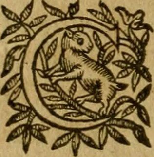 An illustration from De canonicis, et dignitatibus, aliisque inferioribus beneficiariis cathedralium & collegiatarum ecclesiarum, eorúmque officio tam in choro, quàm in capitulo : elegans et perutilis tractatus, 1634, leaf 329