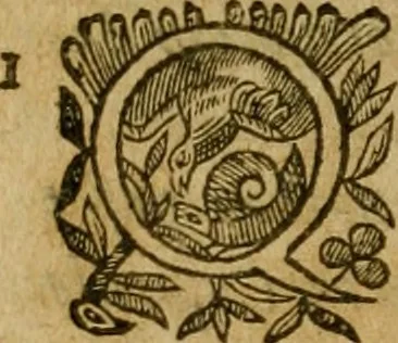 An illustration from De canonicis, et dignitatibus, aliisque inferioribus beneficiariis cathedralium & collegiatarum ecclesiarum, eorúmque officio tam in choro, quàm in capitulo : elegans et perutilis tractatus, 1634, leaf 339