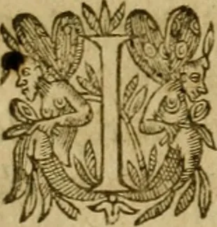 An illustration from De canonicis, et dignitatibus, aliisque inferioribus beneficiariis cathedralium & collegiatarum ecclesiarum, eorúmque officio tam in choro, quàm in capitulo : elegans et perutilis tractatus, 1634, leaf 351