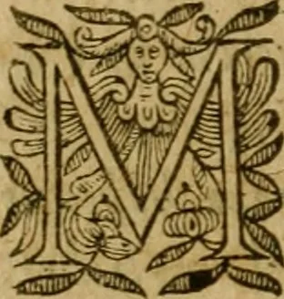 An illustration from De canonicis, et dignitatibus, aliisque inferioribus beneficiariis cathedralium & collegiatarum ecclesiarum, eorúmque officio tam in choro, quàm in capitulo : elegans et perutilis tractatus, 1634, leaf 371