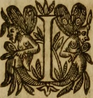 An illustration from De canonicis, et dignitatibus, aliisque inferioribus beneficiariis cathedralium & collegiatarum ecclesiarum, eorúmque officio tam in choro, quàm in capitulo : elegans et perutilis tractatus, 1634, leaf 40