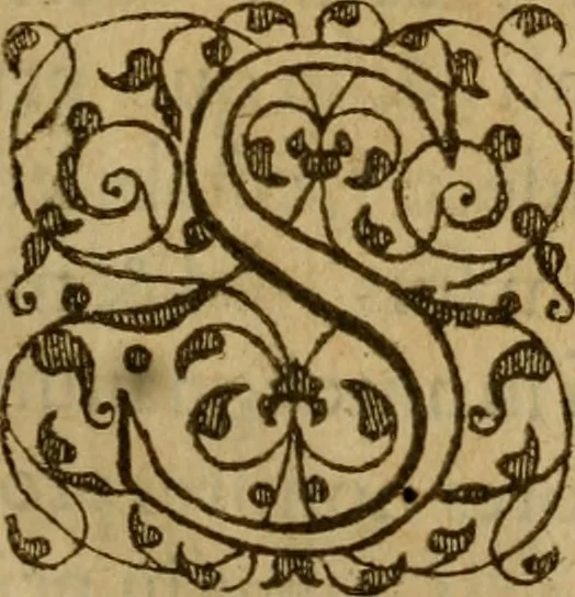 An illustration from De canonicis, et dignitatibus, aliisque inferioribus beneficiariis cathedralium & collegiatarum ecclesiarum, eorúmque officio tam in choro, quàm in capitulo : elegans et perutilis tractatus, 1634, leaf 6