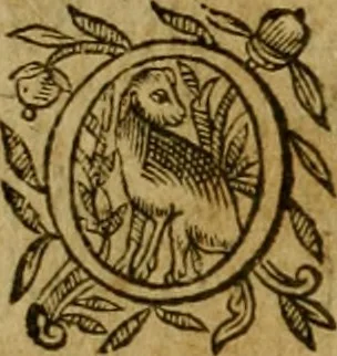 An illustration from De canonicis, et dignitatibus, aliisque inferioribus beneficiariis cathedralium & collegiatarum ecclesiarum, eorúmque officio tam in choro, quàm in capitulo : elegans et perutilis tractatus, 1634, leaf 91