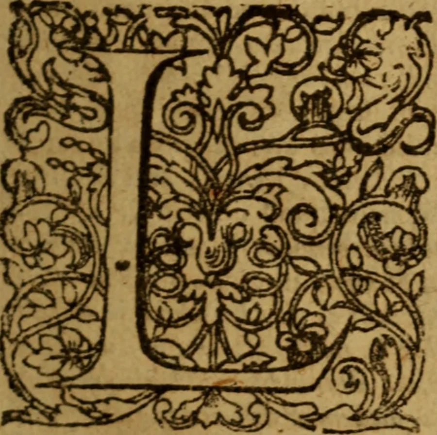 An illustration from De causa Dei contra antisabbatarios tractatus, 1674, leaf 20