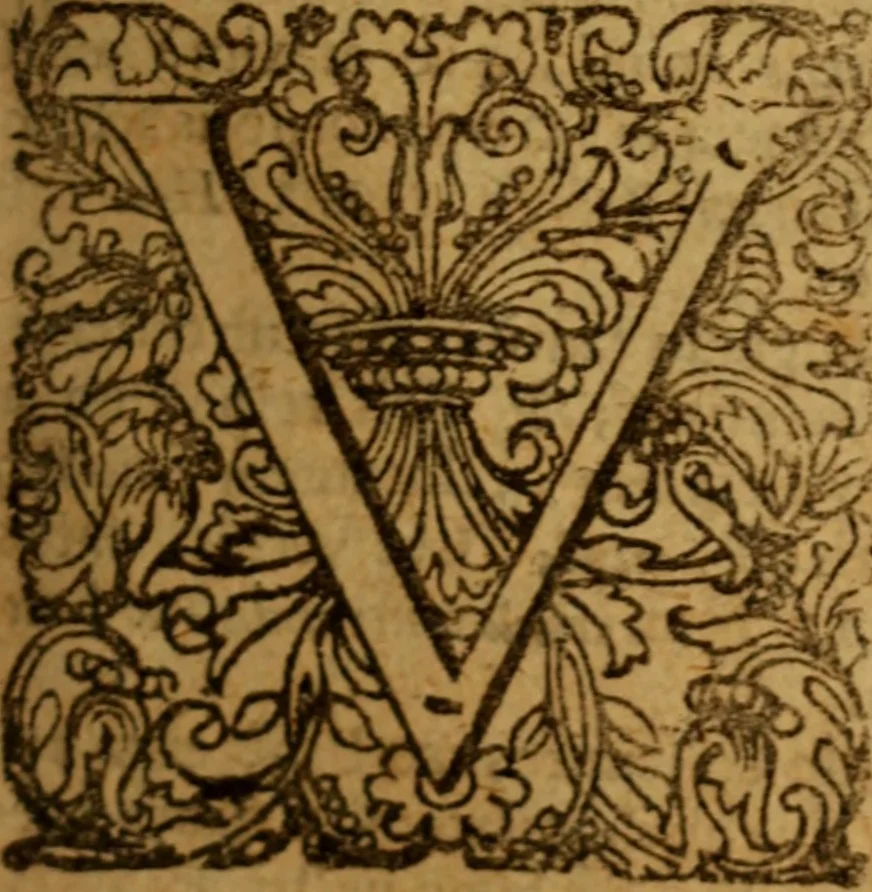 An illustration from De causa Dei contra antisabbatarios tractatus, 1674, leaf 252