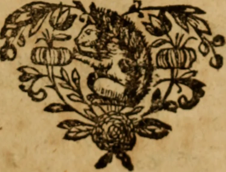 An illustration from De causa Dei contra antisabbatarios tractatus, 1674, leaf 770