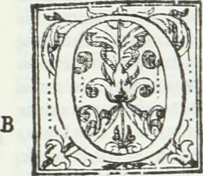 An illustration from De causa Dei contra Pelagium et de virtute causarum. Opera et studio Henrici Savilli. Ex scriptis codicibus nunc primum editi, 1618, leaf 282