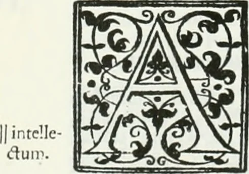 An illustration from De causa Dei contra Pelagium et de virtute causarum. Opera et studio Henrici Savilli. Ex scriptis codicibus nunc primum editi, 1618, leaf 311