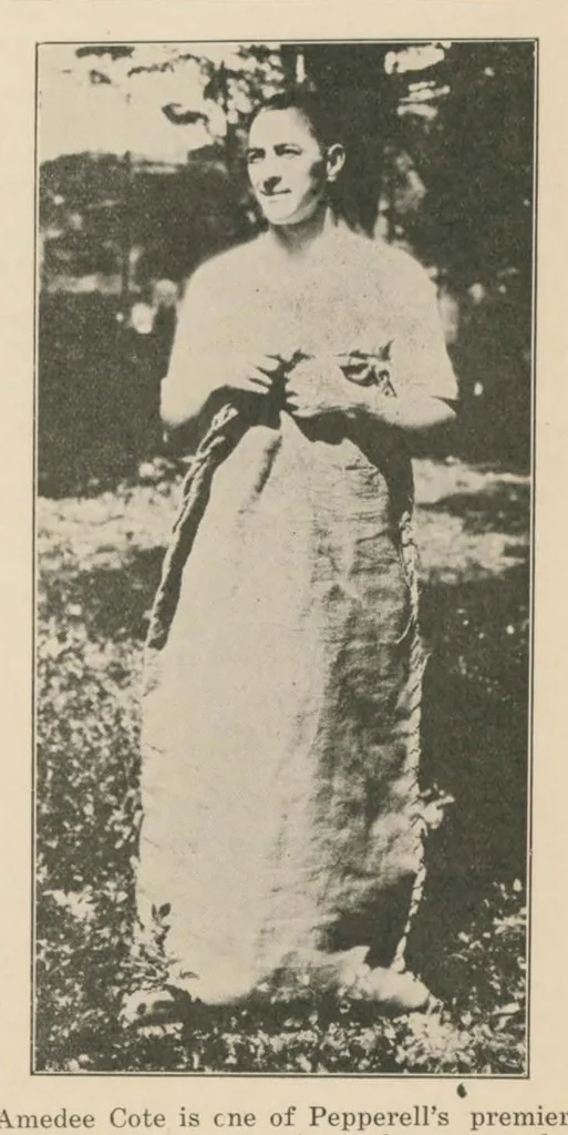 An illustration from December 1927, 1927, leaf 6