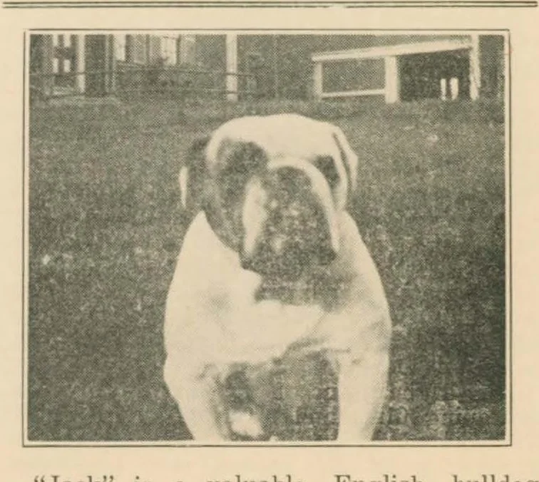 An illustration from December 1930, 1930, leaf 5