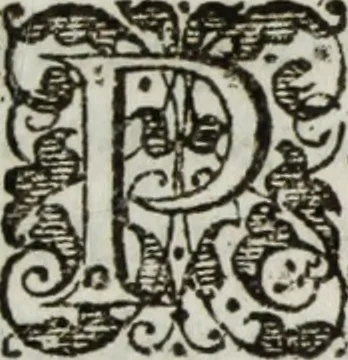 An illustration from De Christiana expeditione apud Sinas suscepta ab Societate Iesu : ex P. Matthaei Ricij eiusdem Societatis com[m]entarijs Libri V : ad S.D.N. Paulum V. in quibus Sinensis Regni mores, leges atq[ue] instituta & nouae illius Ecclesiae difficillima primordia accurate & summa fide describuntur, 1615, leaf 340