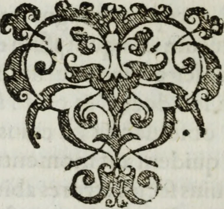 An illustration from De Christiana expeditione apud Sinas suscepta ab Societate Iesu : ex P. Matthaei Ricij eiusdem Societatis com[m]entarijs Libri V : ad S.D.N. Paulum V. in quibus Sinensis Regni mores, leges atq[ue] instituta & nouae illius Ecclesiae difficillima primordia accurate & summa fide describuntur, 1615, leaf 501