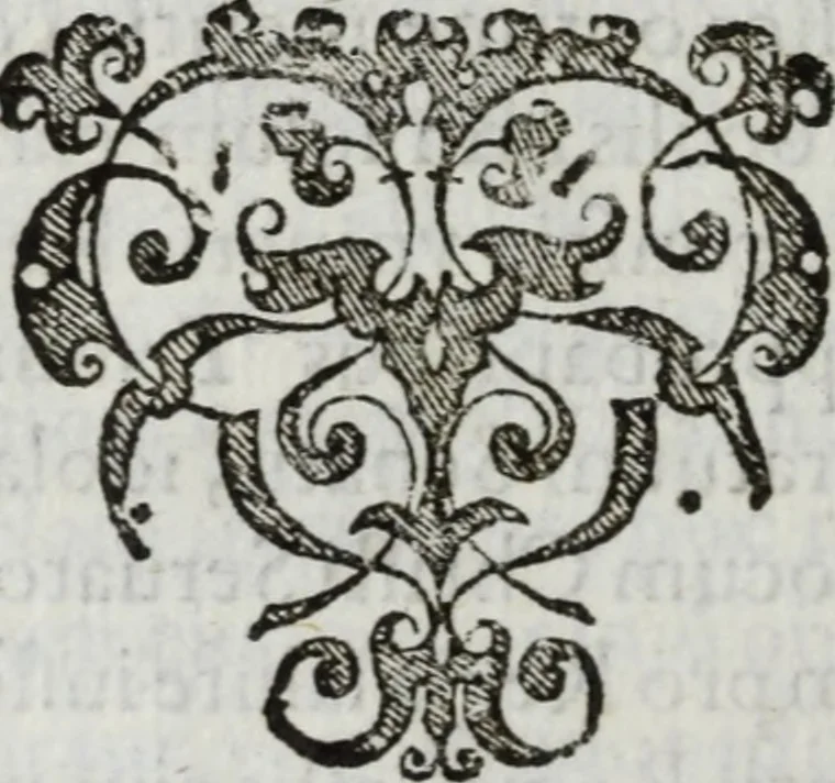 An illustration from De Christiana expeditione apud Sinas suscepta ab Societate Iesu : ex P. Matthaei Ricij eiusdem Societatis com[m]entarijs Libri V : ad S.D.N. Paulum V. in quibus Sinensis Regni mores, leges atq[ue] instituta & nouae illius Ecclesiae difficillima primordia accurate & summa fide describuntur, 1615, leaf 669