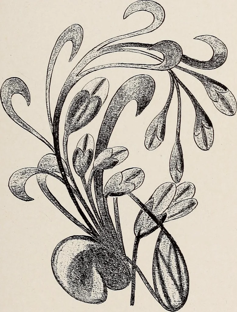 An illustration from Decimon Hûydas : a romance of Mars : a story of actual experiences in Ento (Mars) many centuries ago, 1906, leaf 141